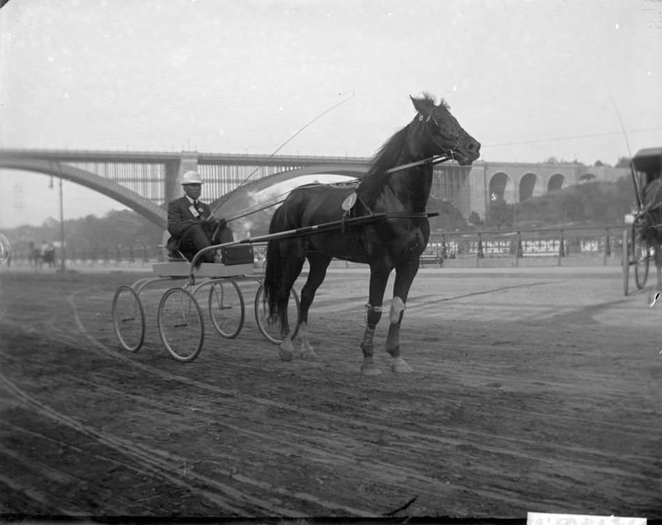 A Man In A Buggy, Speedway, Ca. 1898.