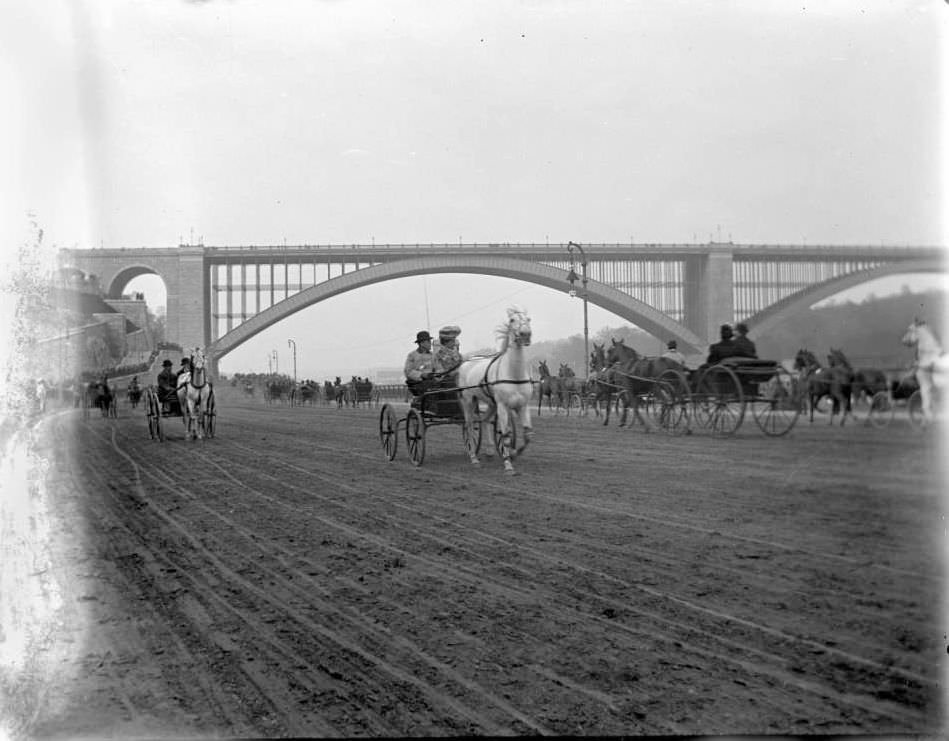 Trotters On The Speedway, Ca. 1899.