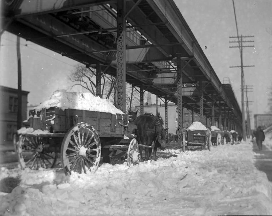 Horse-Drawn Wagons Full Of Snow, Bronx.