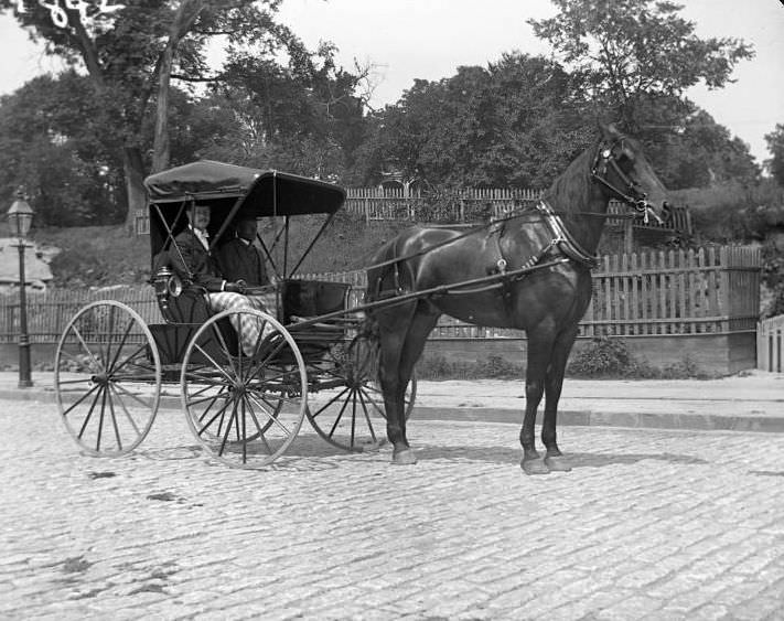 Dr. Irving Balcom In His Horse And Buggy On Fordham Road, Bronx, Ca. 1902.