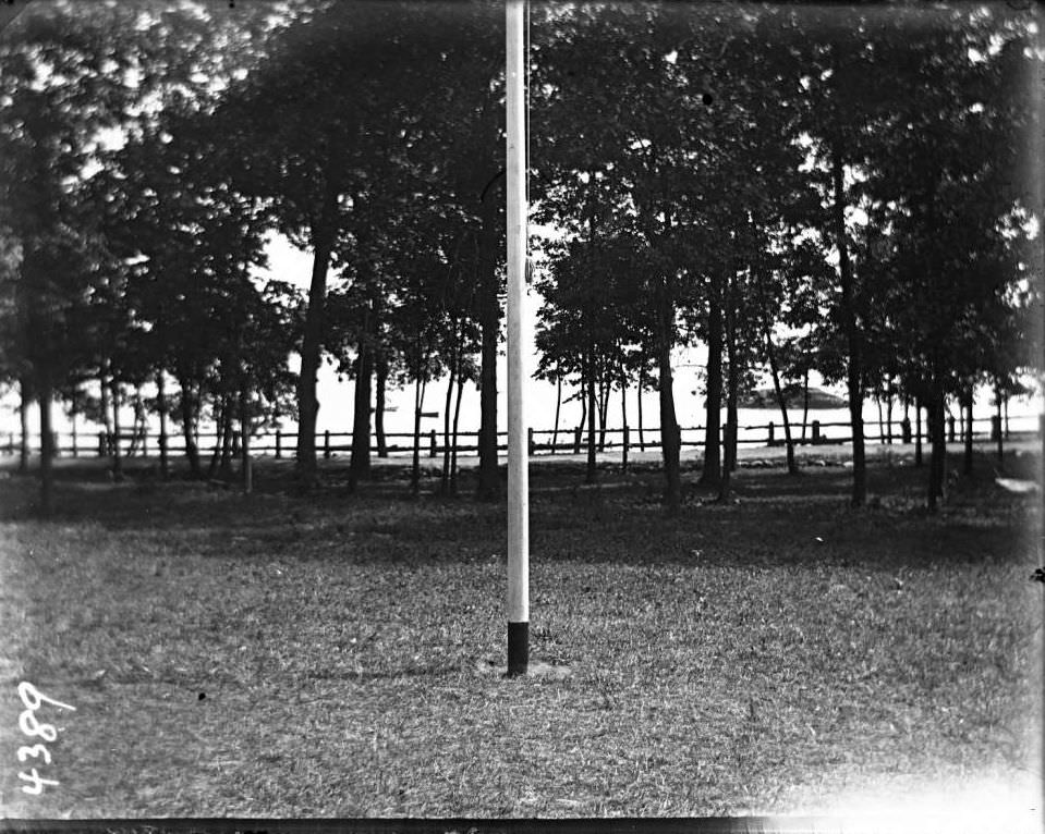 Avenue Of Trees Near The Shore, Orchard Beach, Bronx, 1910.