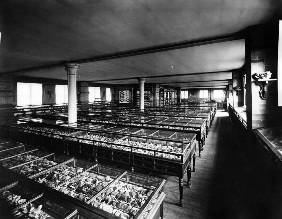 Manhattan: Mineral Cases In The Columbia University Department Of Geology.