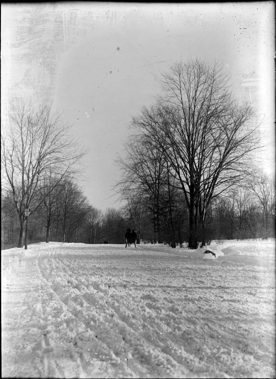 Sleigh-Riding In A Park, New York City, 1890S.