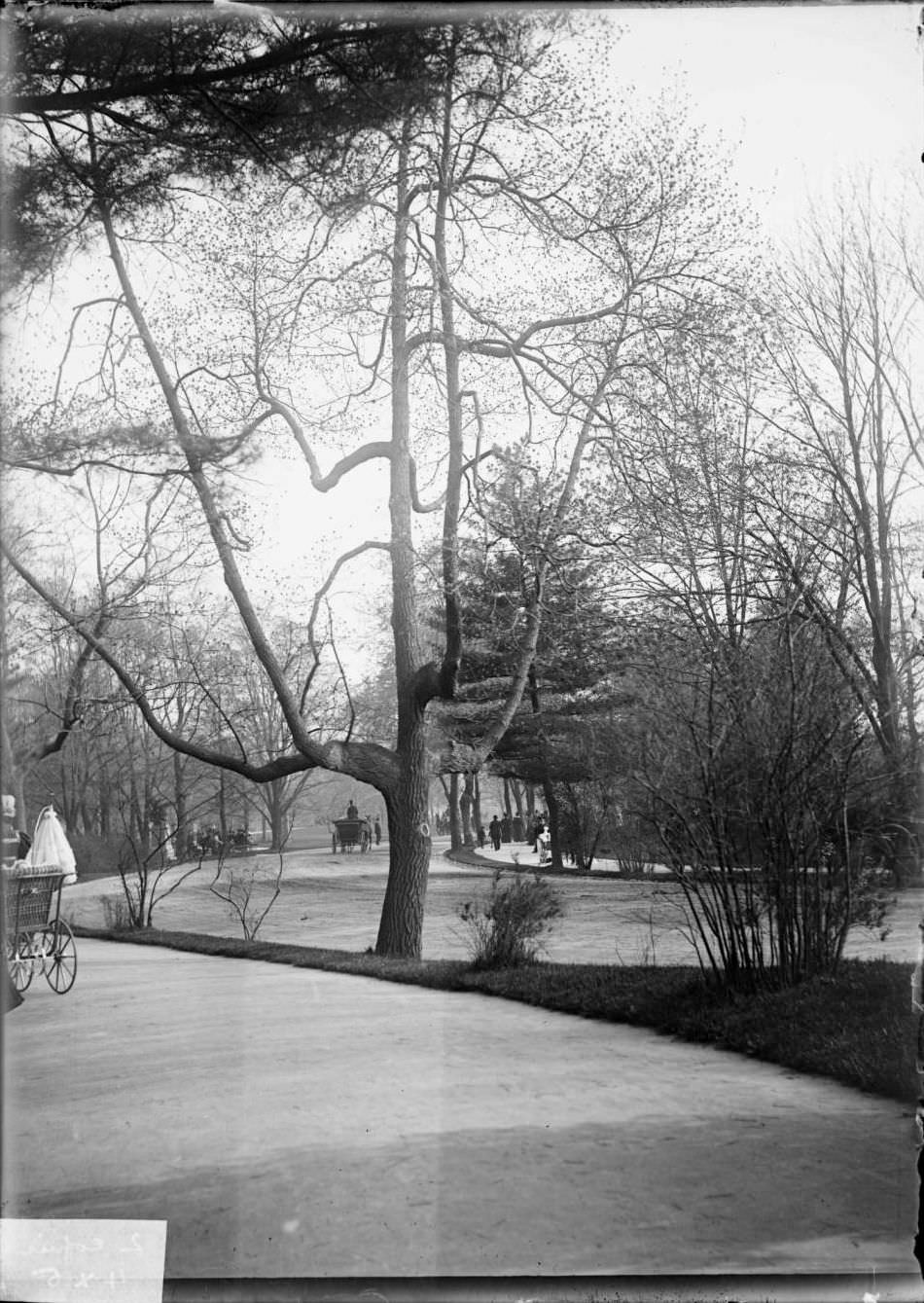 An April Day In Central Park, New York City.