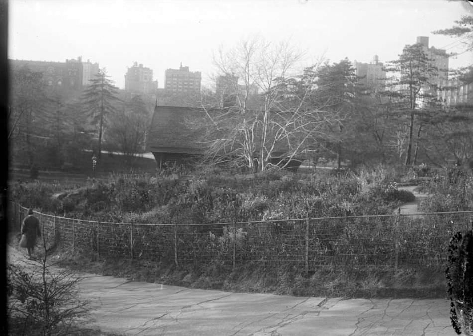 Shakespeare Garden, Central Park, New York City, 1910S.