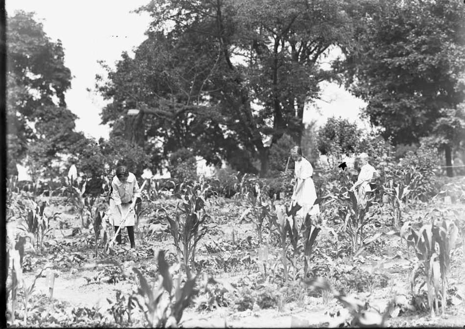 William Gray Hassler And Classmates At Work In The School Garden In Isham Park, Inwood, New York City, 1914.