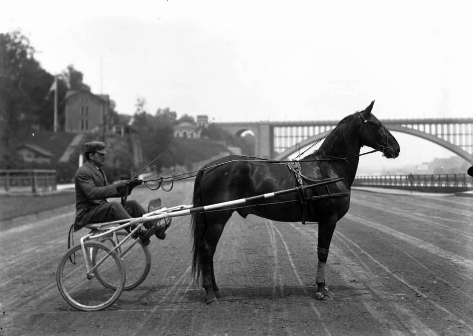 James Halloway And Fandango (Horse) Posed In Harness On A Dirt Track In Highbridge Park, New York City, 1911.