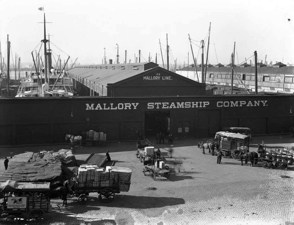 Mallory Steamship Company, Pier 38, North River, New York City, 1916.