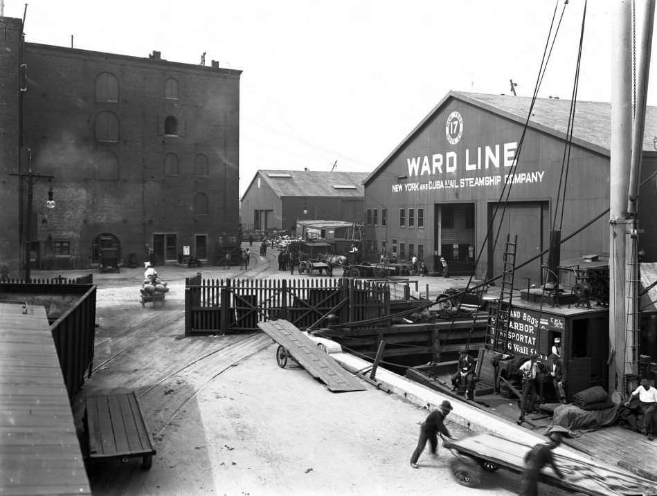 Ward Line Pier 17, Furman Street, Brooklyn, 1918.