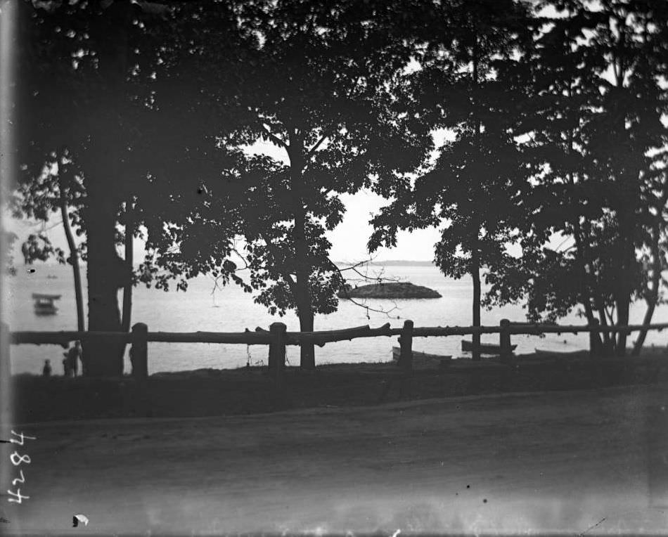 View Of The Bay Through Trees At Orchard Beach, Bronx, 1910.