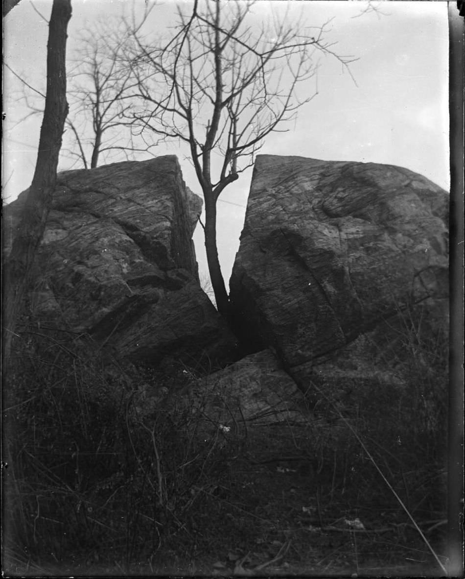 Split Rock, Pelham Bay Park, Bronx, 1911.