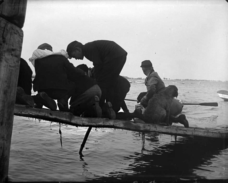Children And Dog Playing On A Boat Ramp, Lohbauer Park, Throggs Neck, Pelham Bay, Bronx, 1898.