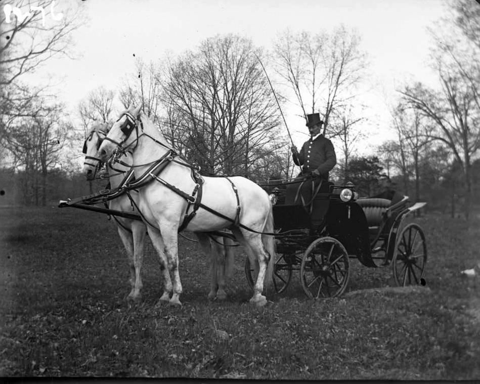 Coach And Driver At The New York Zoological Gardens, Bronx, 1890S.