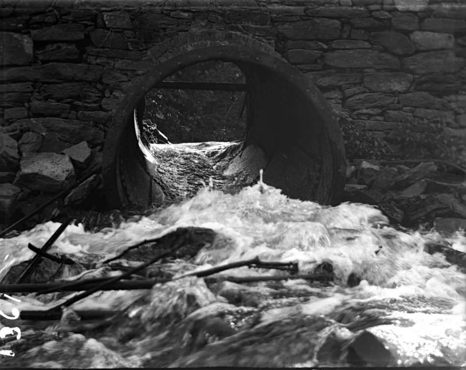 Water Passing A Drain In A Stone Wall At The New York Zoological Gardens, Bronx, 1890S.