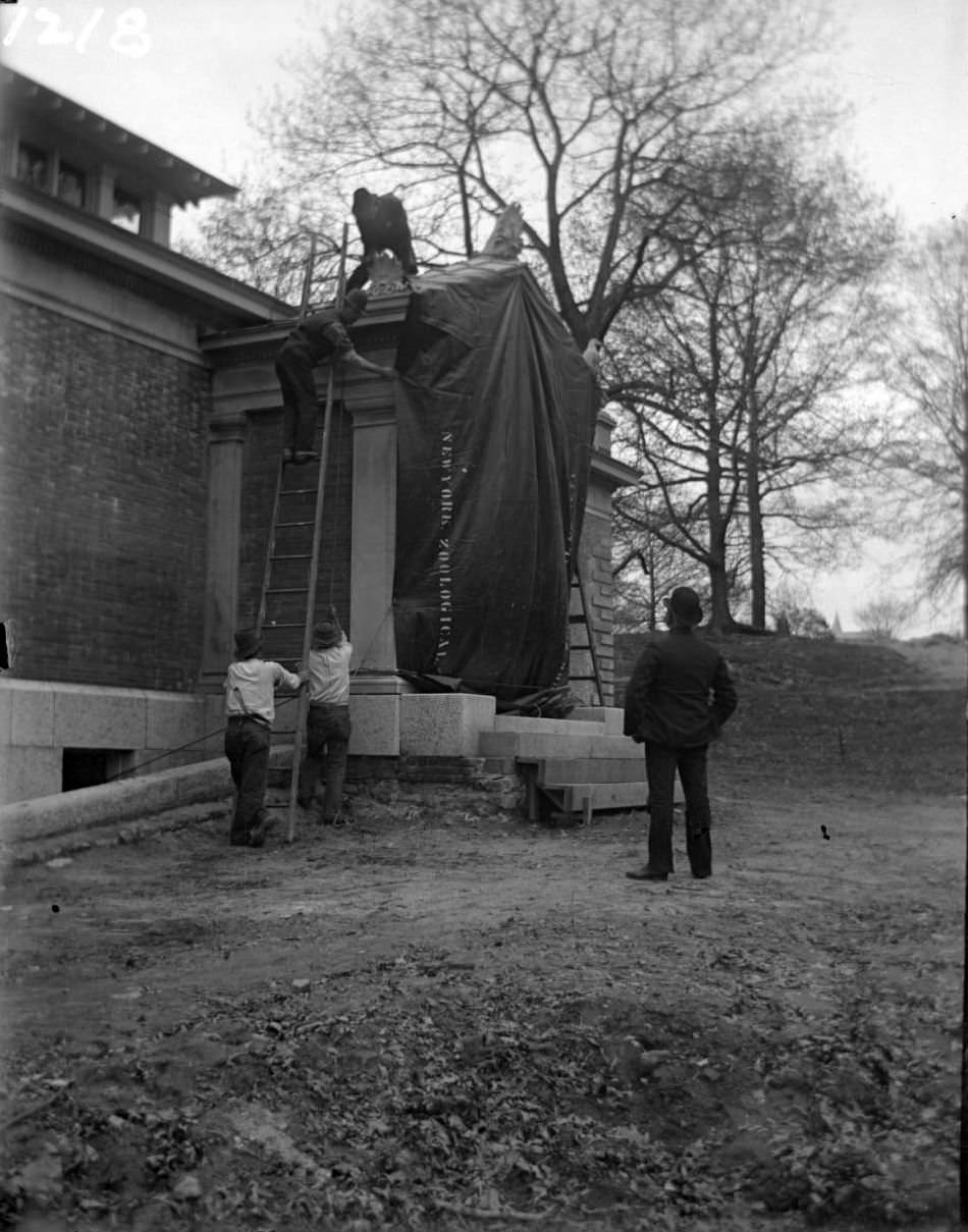 Aquatic Birds House Under Construction At The New York Zoological Gardens, Bronx, 1890S.