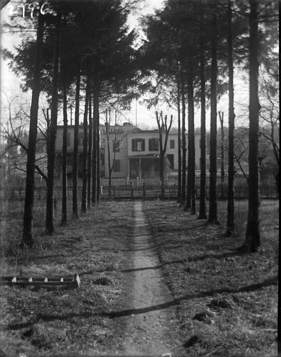 View Down A Tree-Lined Path To A Gate And Fence, Tremont, Bronx, 1902.