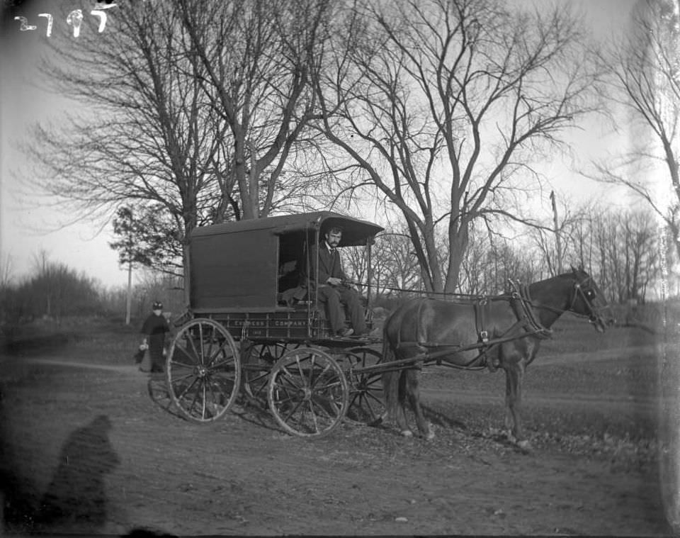 American Express Company Wagon Number 1410, Tremont, Bronx, 1902.
