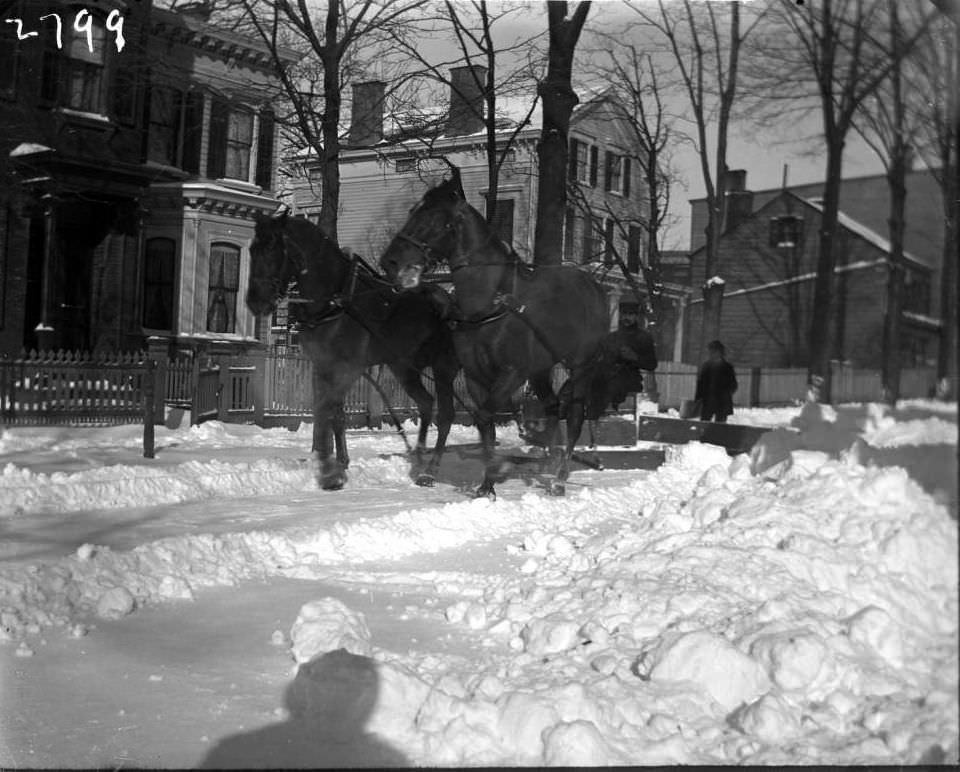 Two Horses Dragging A Snow Plow, Tremont, Bronx, 1902.
