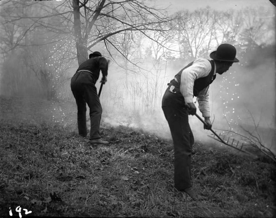 Two Men Fighting A Grass Fire In Bronx Park, Bronx