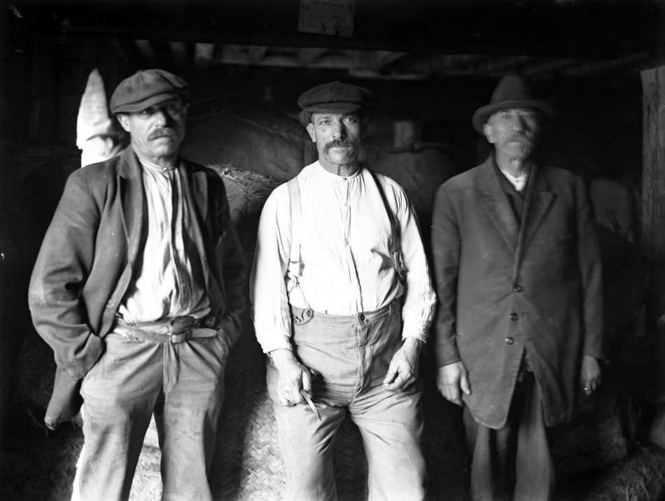 An Italian Dock Workers On Pier 30, Brooklyn, 1918.