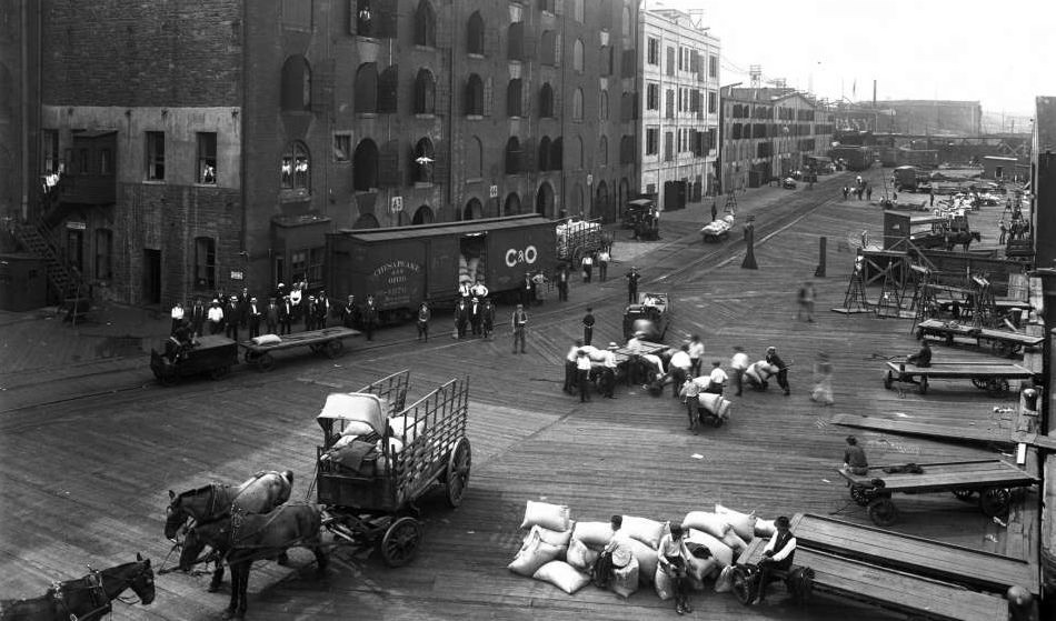 Horse-Drawn Vehicles Nyc Early 1900S