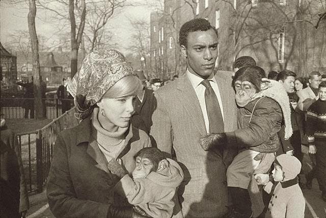 The Real Streets Of 1960S New York Through Stunning Vintage Scenes