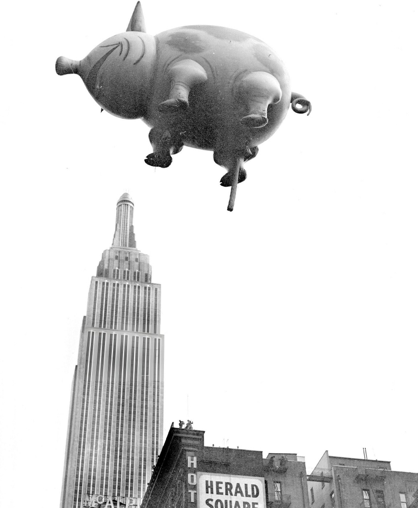 A Pig Balloon From Macy'S Thanksgiving Day Parade Appears To Hover Over The Empire State Building, 1931.
