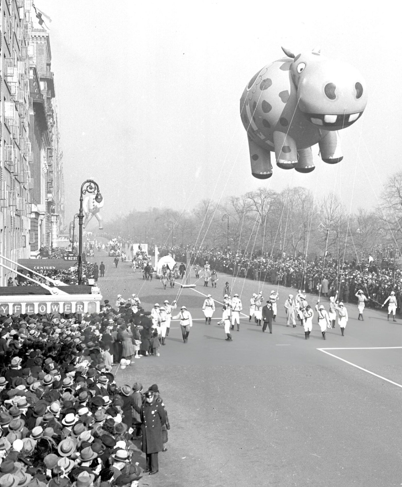 A Helium-Inflated Hippo Floats Down Central Park West In The Macy'S Thanksgiving Day Parade, 1940.