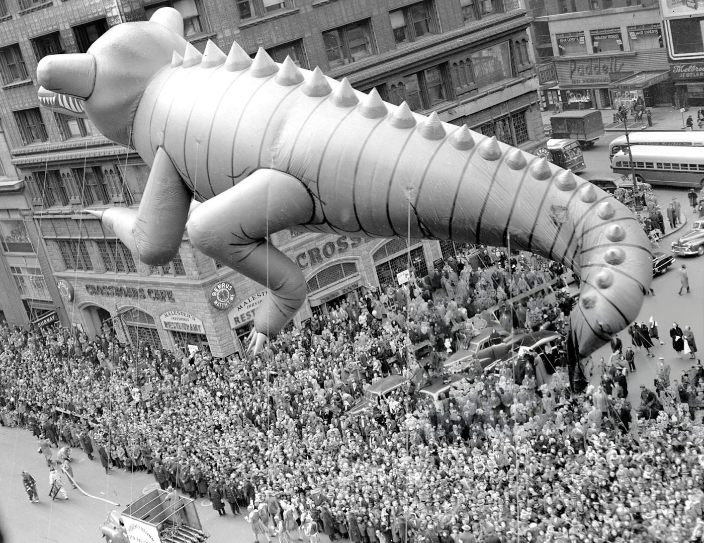 A Huge Helium-Filled Alligator Is Hauled Through Times Square During Macy'S Thanksgiving Day Parade, 1949.