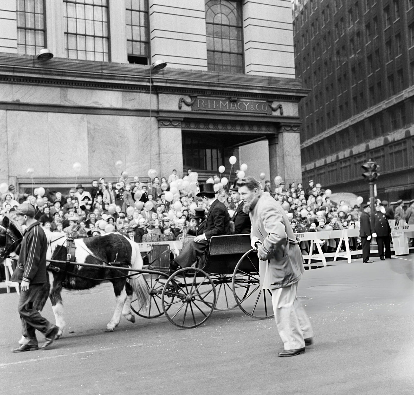 A Horse And Carriage Carrying A Chimpanzee During The 1954 Macy'S Thanksgiving Day Parade, 1954.