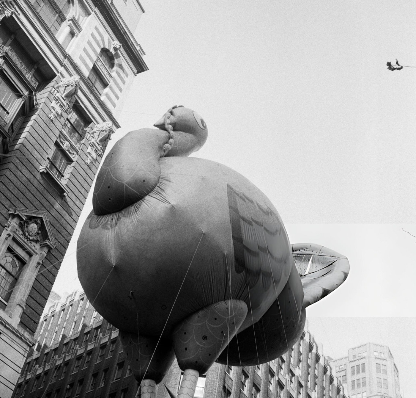Large Balloons Pass Overhead During The 1954 Macy'S Thanksgiving Day Parade, 1954.