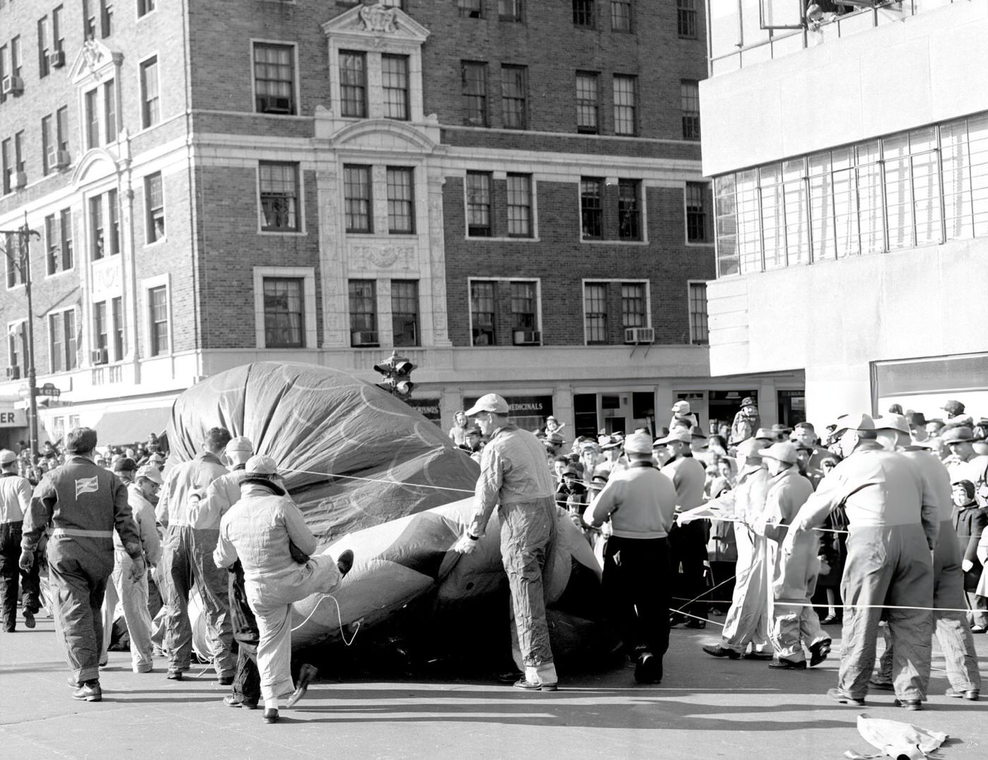 Handlers Hold A Deflated &Amp;Quot;Gorgeous Gobbler&Amp;Quot; Balloon During Macy'S Thanksgiving Day Parade, 1951.