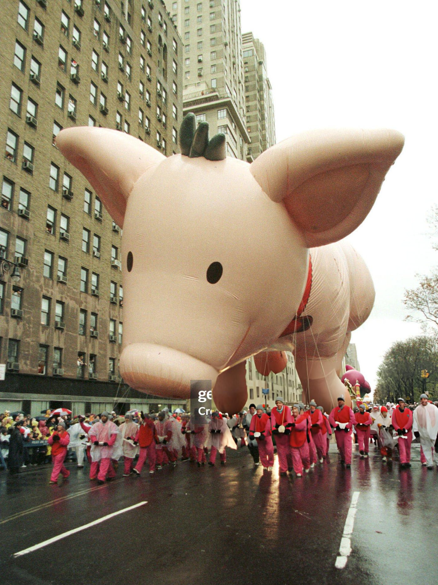 The &Amp;Quot;Babe&Amp;Quot; The Pig Balloon Makes Its Way Down Central Park West During The 72Nd Annual Macy'S Thanksgiving Day Parade, November 26, 1998.