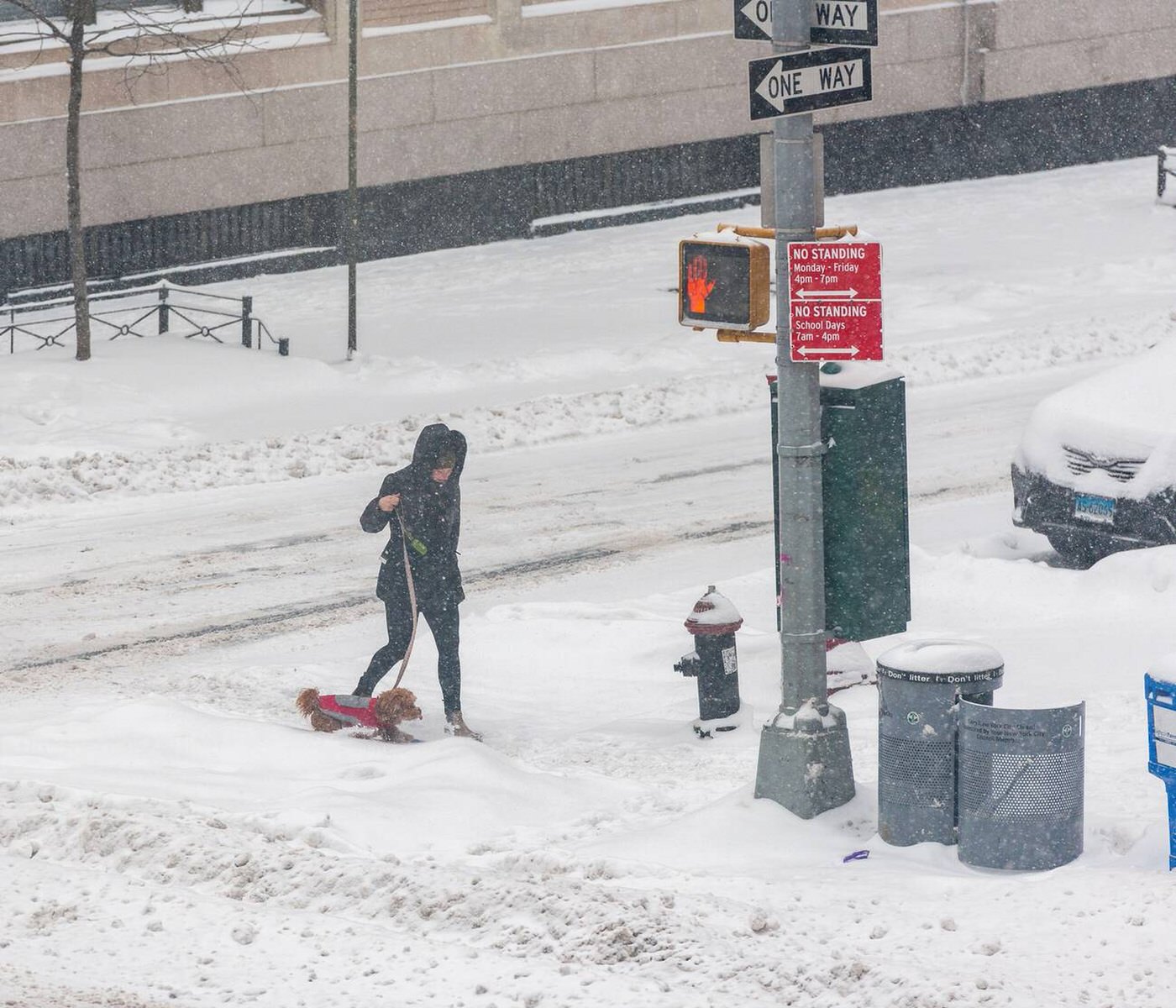 Dog Walking On Ninth Avenue In Chelsea During A Nor’easter, 2022.