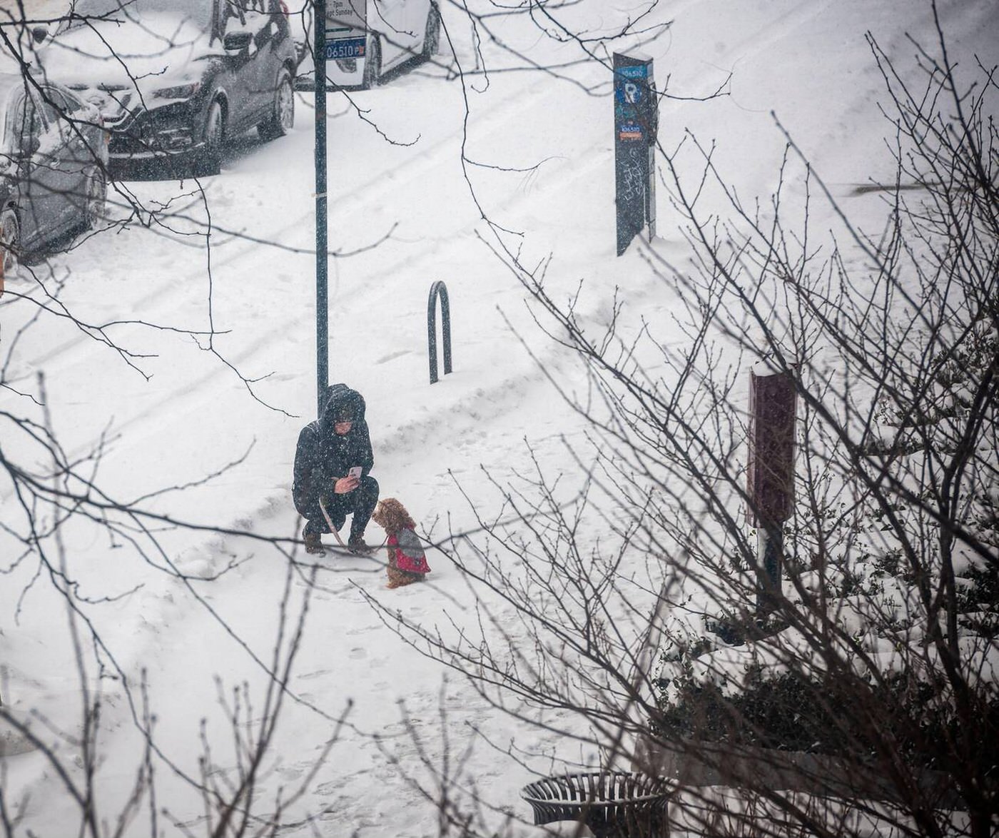 A Pet Owner Photographs Her Dog In The Snow On Ninth Avenue In Chelsea During A Nor’easter, 2022.