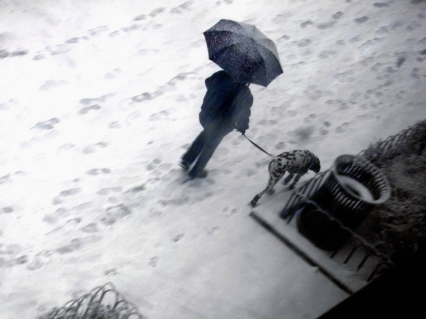 A Man Walks His Dog In A Snowstorm, 2004.