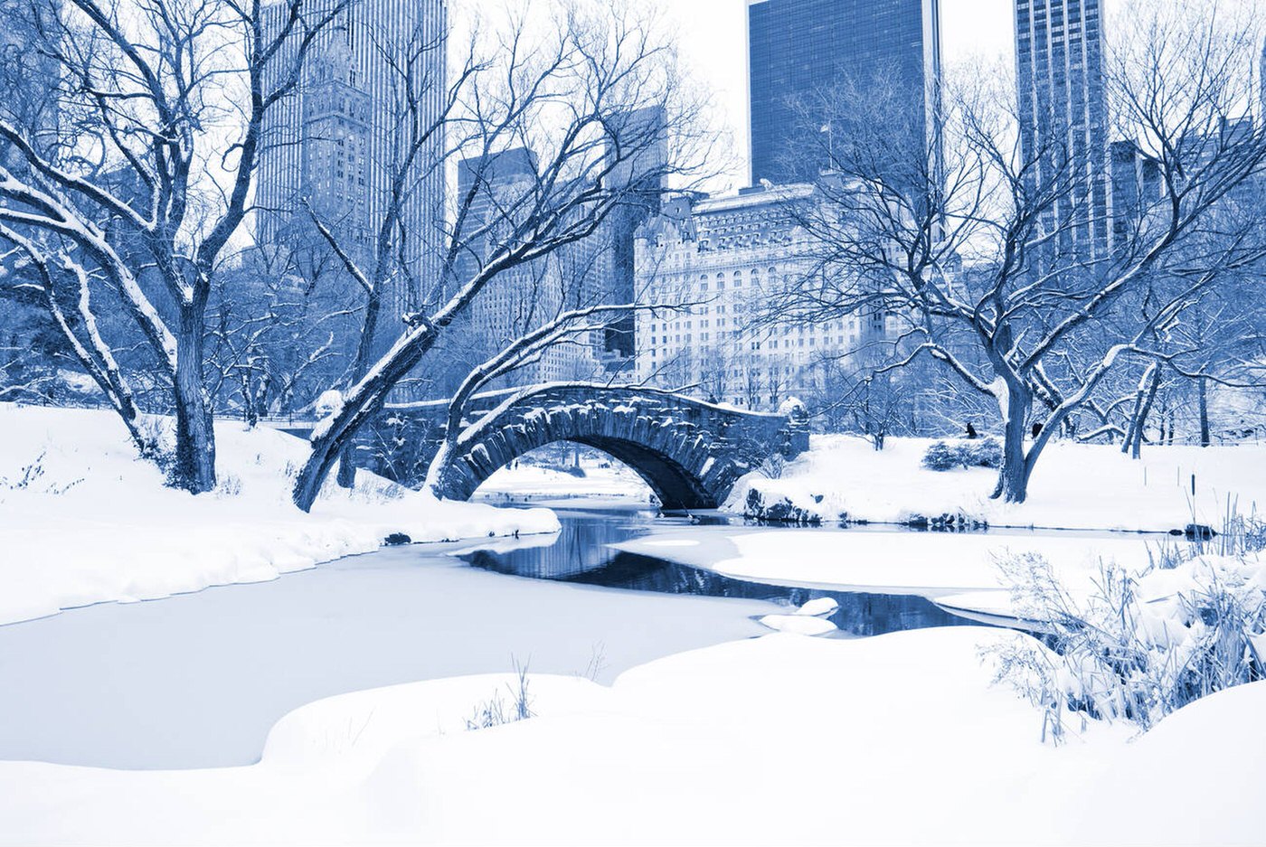 Central Park, Plaza Hotel And Gapstow Bridge In Winter, 2009.