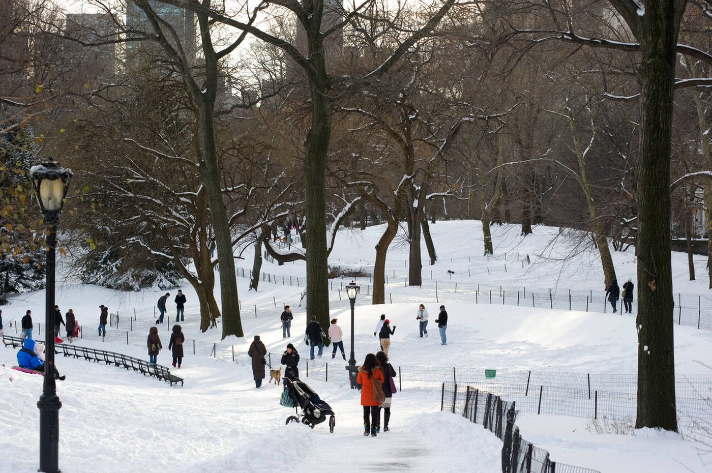 People Enjoying Central Park After A Snowstorm, 2009.