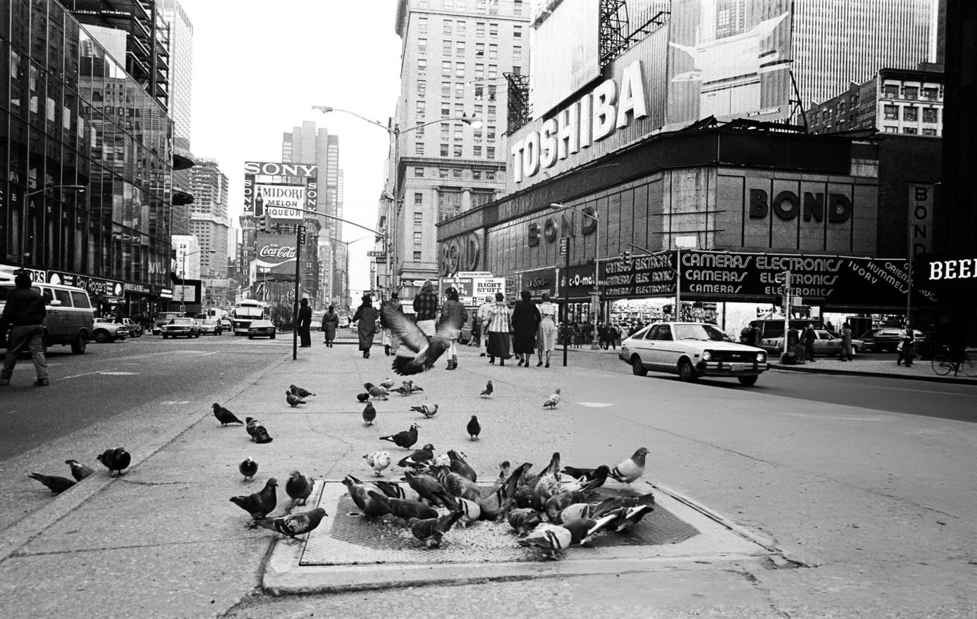 Foot Traffic And Pigeons At The Intersection Of 7Th Avenue And 42Nd Street In Times Square, January 26, 1984.