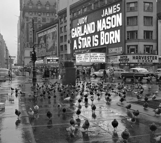 No Poses, Just Life: The Candid 1950S Street Photography That Reveals The True, Unguarded Faces Of New Yorkers