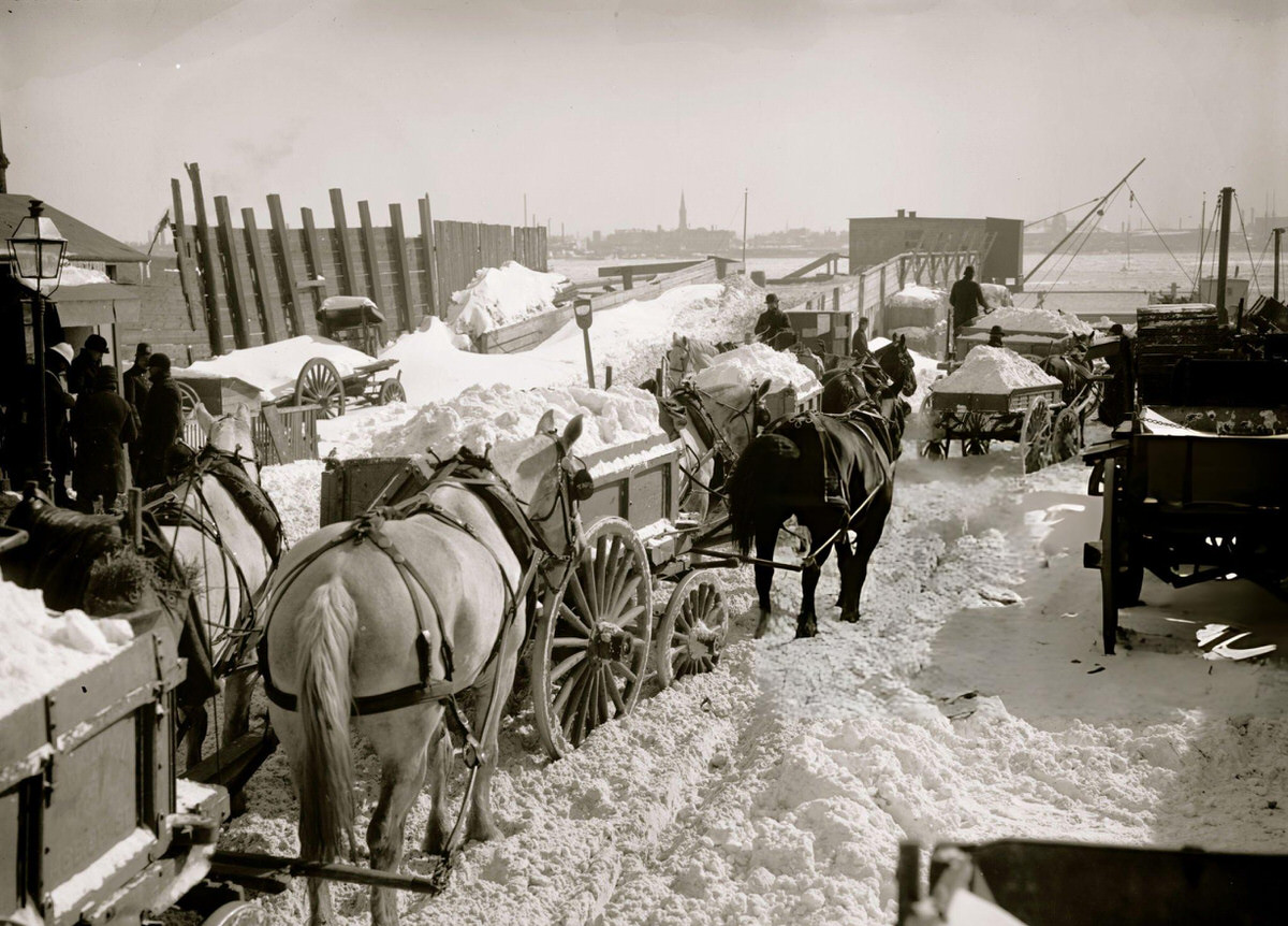 Carts Hauling Snow And Ice Cleared From City Streets To The East River For Dumping.