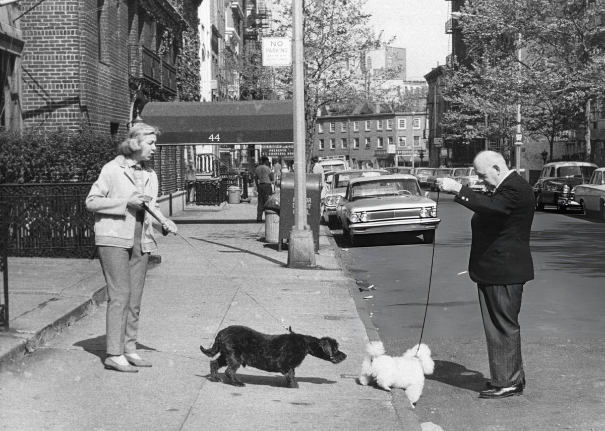 Residents Walking Dogs In Greenwich Village, 1960.