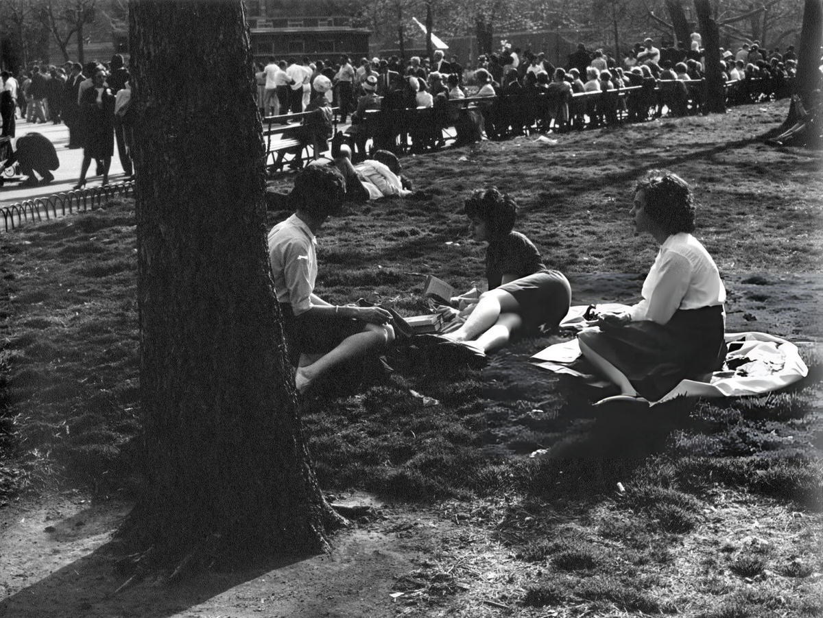 Three Girls Sitting On The Grass In Washington Square Park, 1962.