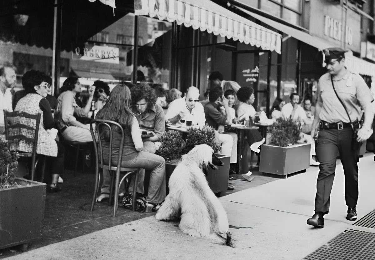 Police Officer And An Afghan Hound Outside O Henrys Steak House, 1975.