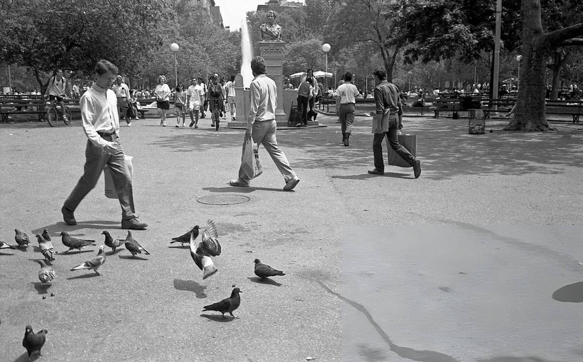Pedestrians And Pigeons In Washington Square Park, 1989.