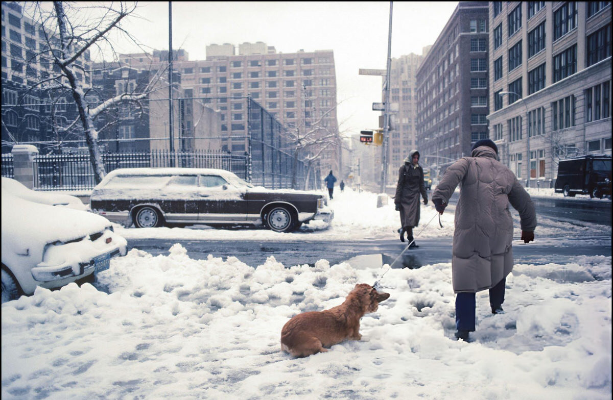 Pedestrian With A Dog In The Snow At Hudson And Leroy Streets, Greenwich Village, 1982.