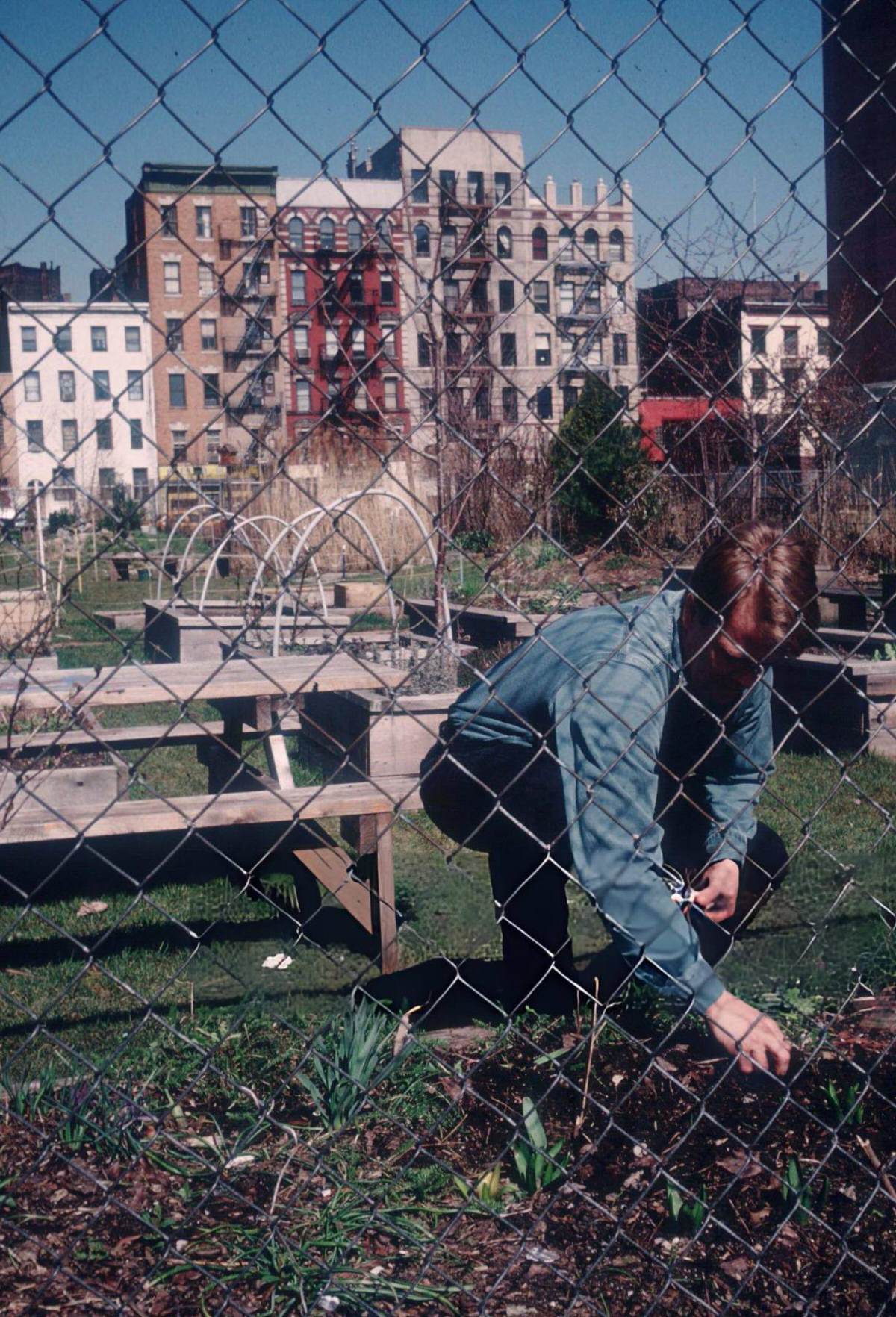 Man In The 11Th Street Community Garden, East Village, 1998.