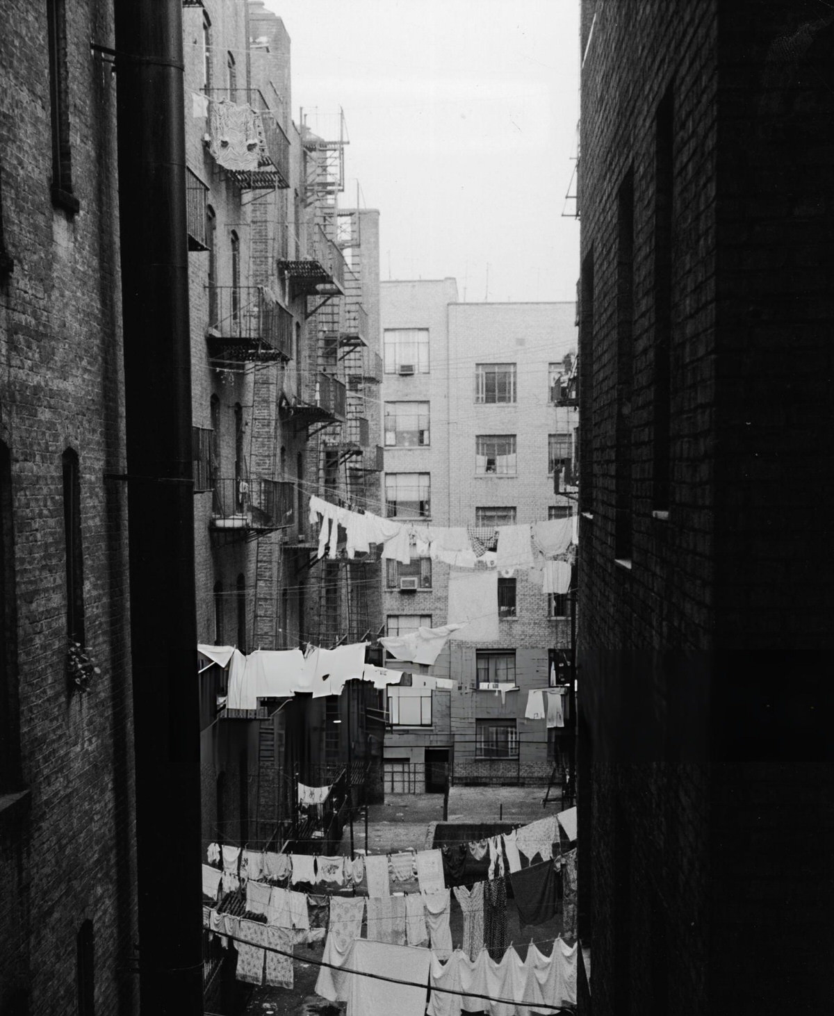 Apartment Building Back Courtyards With Hanging Clothing Lines, Harlem, 1970.