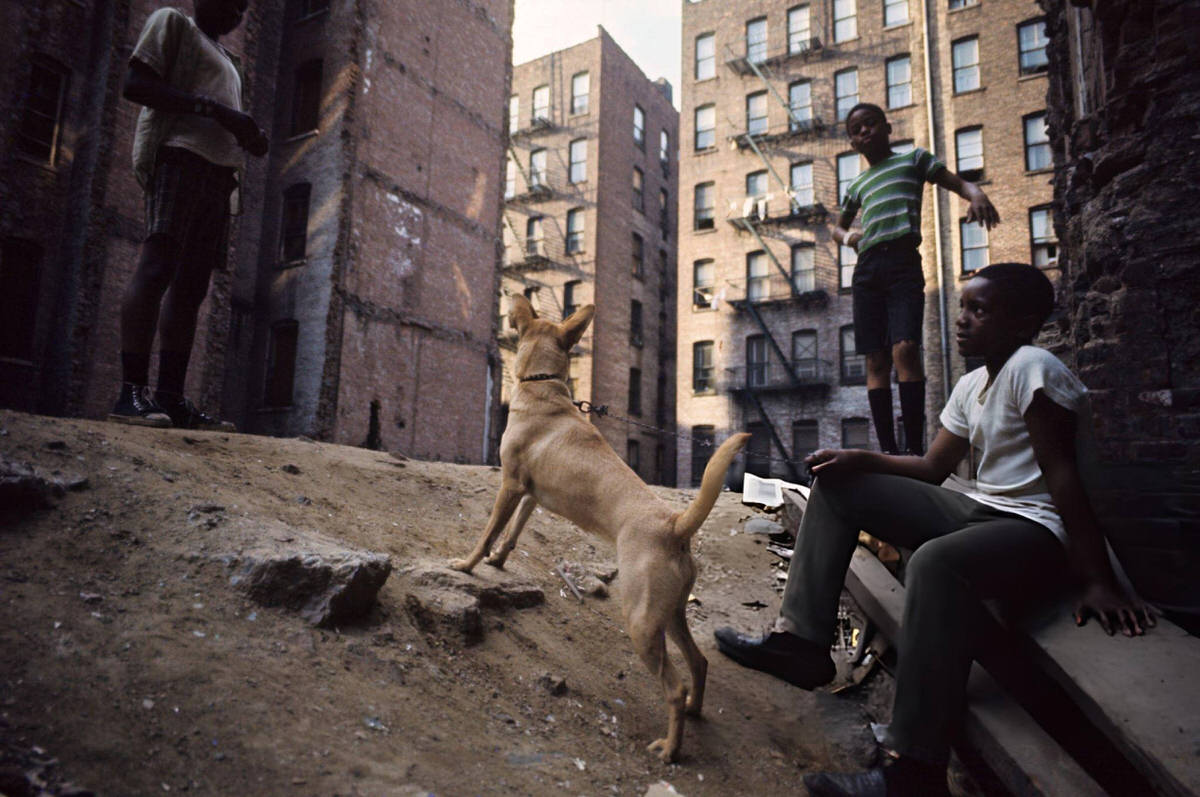 Boys Playing With A Dog In A Vacant Lot, Harlem, 1970.