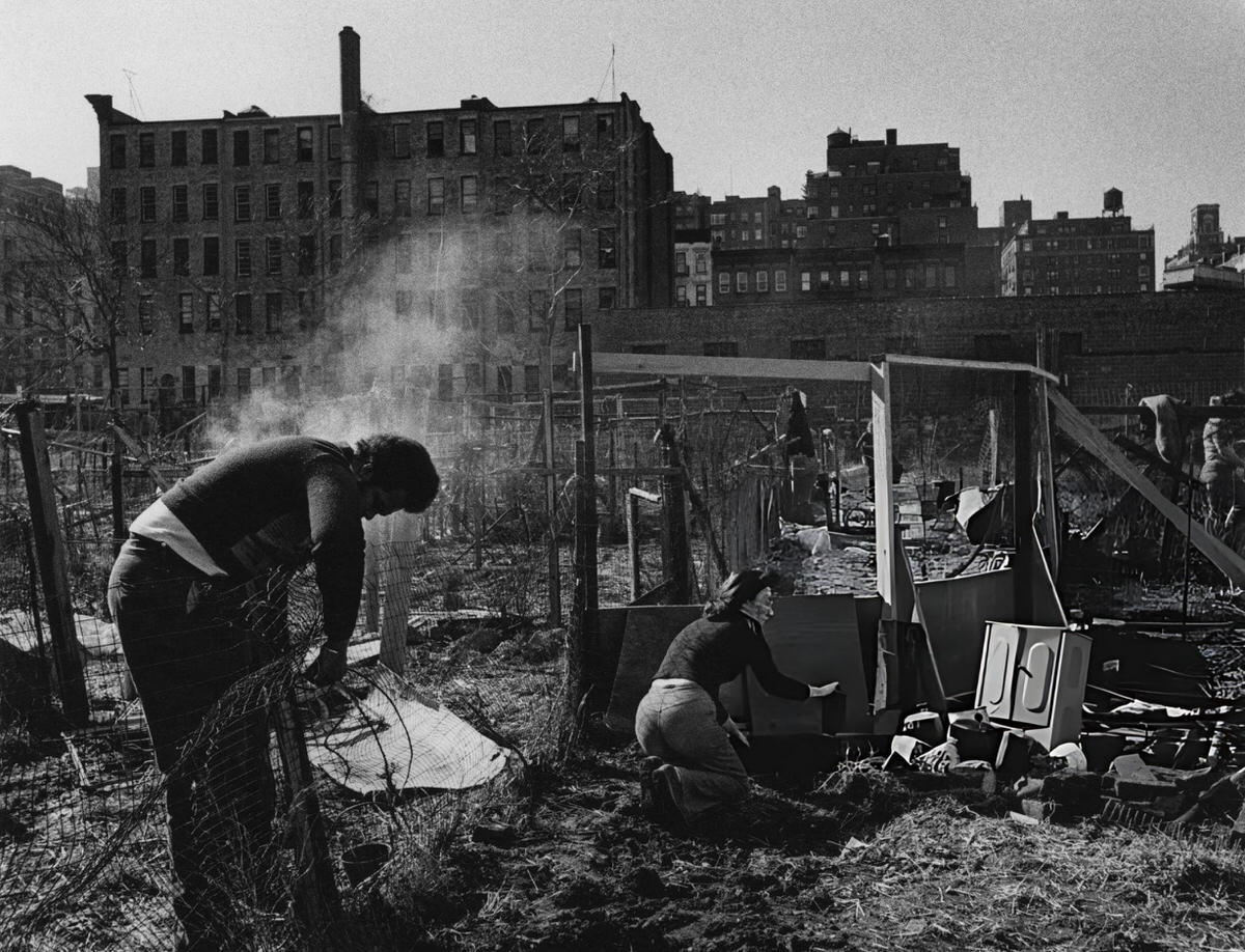 Women Planting Allotments On Wasteground In East Harlem, 1975.